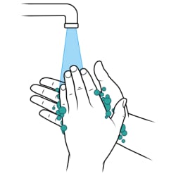 Hands scrubbing with soap under faucet with running water.
