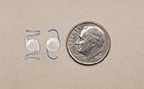 Intraocular lenses next to a dime for size comparison.